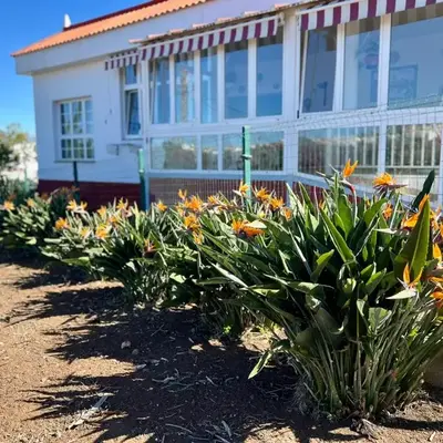 Refugio de la calma
