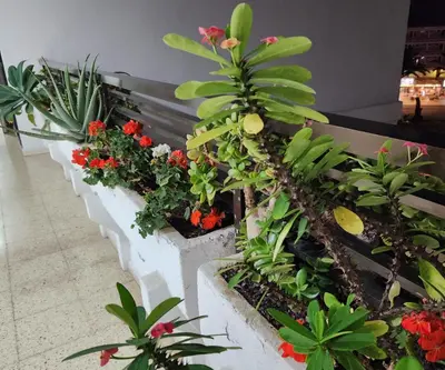 Jardín al aire libre en Apartamento Yumbo Iguazu Luxury
