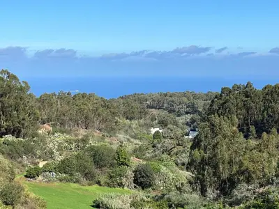 Paisaje cerca de este apartamento