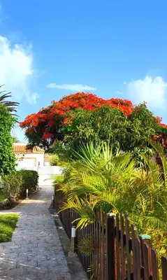 Jardín al aire libre en Sunnypalms Casa Mar 22