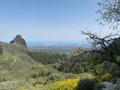 Paisaje cerca de este apartamento