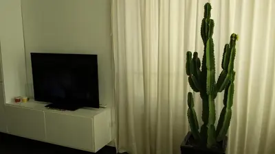 Una televisión o centro de entretenimiento en Apartamento Paco