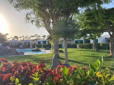 Jardín al aire libre en Five Suites Maspalomas by CanaryScape
