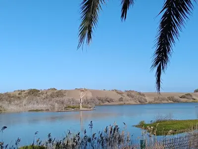Paisaje cerca de este apartamento