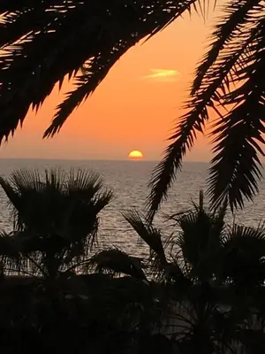 Paisaje cerca de este apartamento