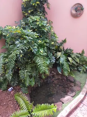 Plano de Casa Los Guaniles, Mondragón