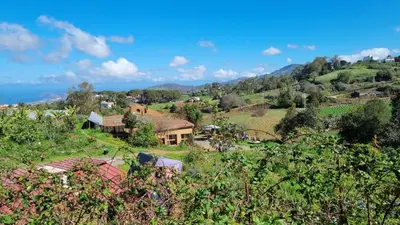 Paisaje cerca de este apartamento