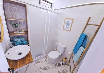Un baño de Guayarmina 201