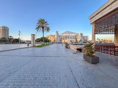 Vista general de Las Palmas de Gran Canaria o vista desde el apartamento