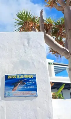 Certificado, premio, señal o documento que está expuesto en Dragon View - Oceanfront Apartment Faro de Sardina