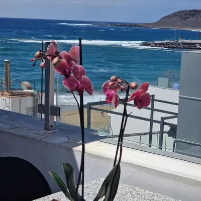 Paisaje cerca de este apartamento