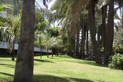 Jardín al aire libre en Bungalow relax Verdemar