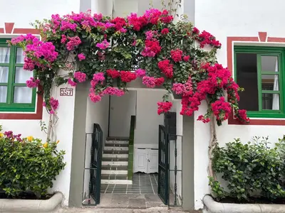 Jardín al aire libre en Relax Mogán vivienda vacacional