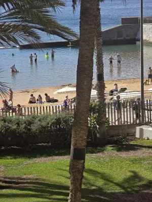 Paisaje cerca de este apartamento