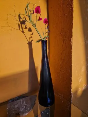 Bebidas en La Escuelita
