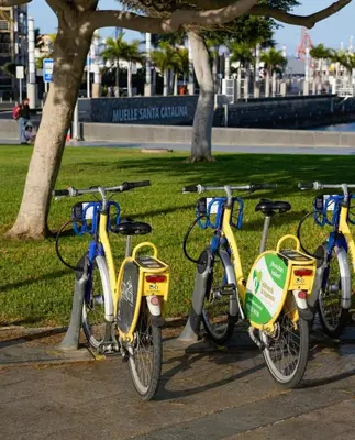 Montar en bicicleta en El céntrico apartamento o alrededores