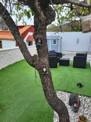 Jardín al aire libre en Villa Rita
