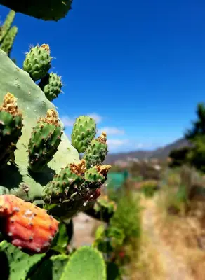Paisaje cerca de este bed & breakfast