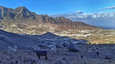 Paisaje cerca de este apartamento