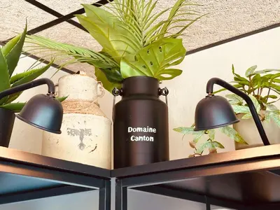 Utensilios para hacer té y café en Agrotur Fenix