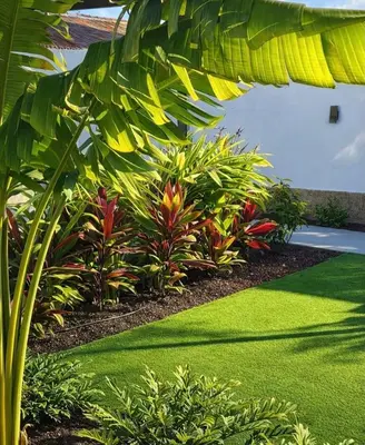 Jardín al aire libre en Paso Chico Gran Canaria - Men Adults Only - Clothing Optional
