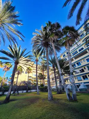 Jardín al aire libre en Verana House