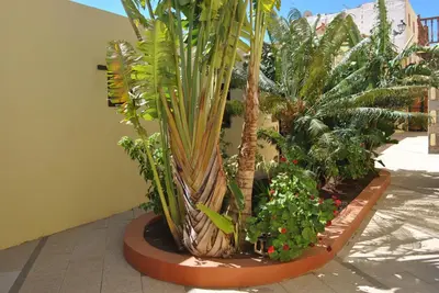 Jardín al aire libre en Casa Rural La Aldaba