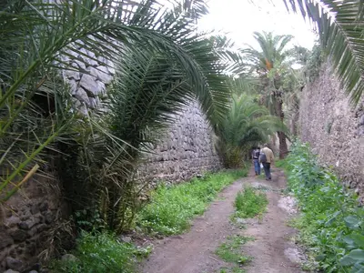 Plano de Casa Gloria, encanto canario entre montaña y mar