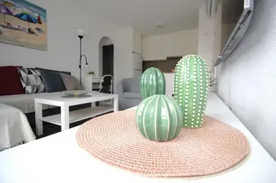Zona de estar de Terrasol con Cactus Monsenor