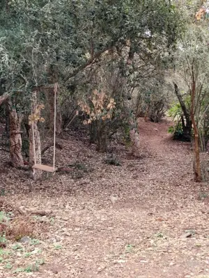 Plano de La Herbolera Vv