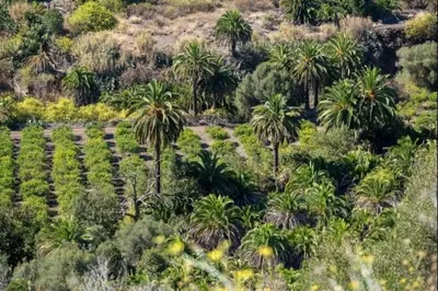 Paisaje cerca de este apartamento