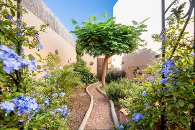 Jardín al aire libre en Canary Holiday Mondragon House