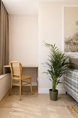 Cama o camas de una habitación en Las Canteras con Alma