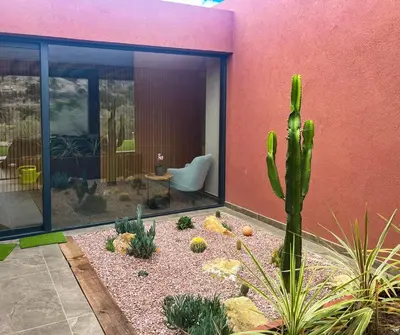 Jardín al aire libre en GREEN VIEW by HOMESTAYGRANCANARIA