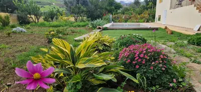 Jardín al aire libre en Villa with a private heated pool at more than 27ºC