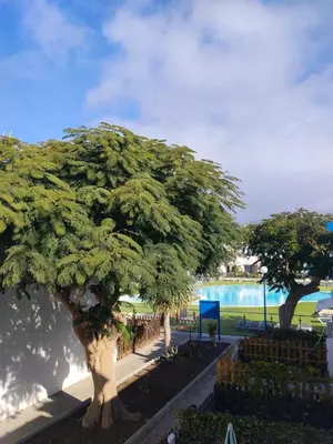 Piscina en o cerca de PlayMar 133