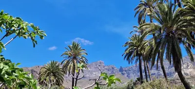 Paisaje cerca de este apartamento