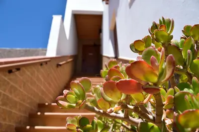 Plano de Vivienda Vacacional La Portada