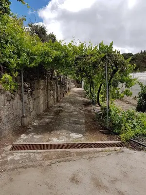 Paisaje cerca de esta casa o chalet
