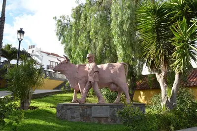 Animales en la casa o chalet o alrededores