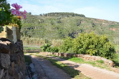 Paisaje cerca de esta casa o chalet