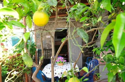 Jardín al aire libre en Apartamentos Buen Leon