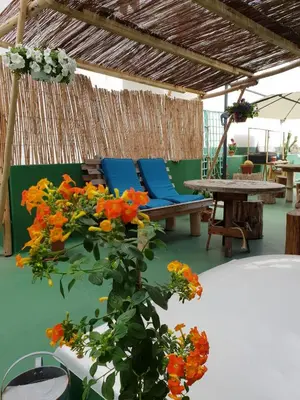 Zona de estar de Cactus Host