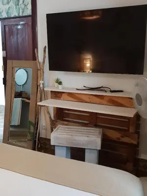 Una televisión o centro de entretenimiento en Cactus Host