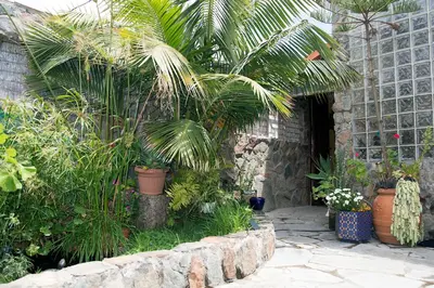 Jardín al aire libre en Casa El Drago-TAFIRA BAJA