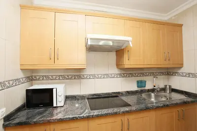 Una cocina o zona de cocina en Masvacation Duna Exerlsior 3Room,Pool