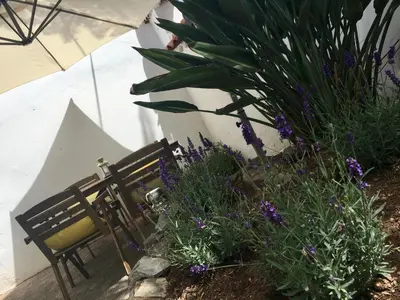 Jardín al aire libre en La Casita de Las Palmas VV