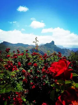 Paisaje cerca of this country house