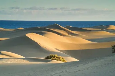 Paisaje cerca de este apartamento