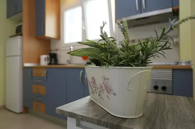 Una cocina o zona de cocina en Ikigai Las Canteras